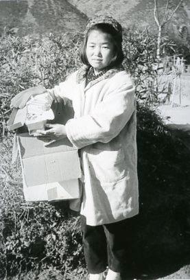 Box of newsletters and appeals from1945-1975   039.jpg